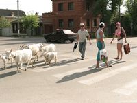 Feet - Marisha + Ksusha - 2007-06-01 Barefoot trips to Russian towns. Serpukhov