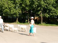 Feet - Marisha + Ksusha - 2007-06-01 Barefoot trips to Russian towns. Serpukhov