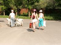 Feet - Marisha + Ksusha - 2007-06-01 Barefoot trips to Russian towns. Serpukhov