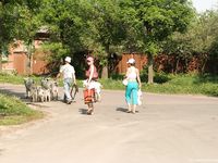 Feet - Marisha + Ksusha - 2007-06-01 Barefoot trips to Russian towns. Serpukhov