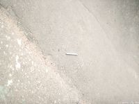 Feet - Marisha - 2005-10-16 Charming baregoot girl