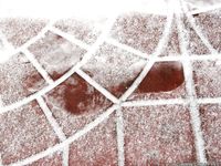 Feet - Maryana A - 2012-02-05 Gloomy winter day