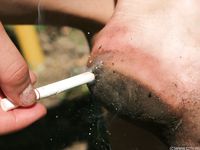 Feet - Maryana B - 2012-09-11 Hot summer midday