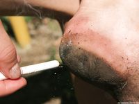 Feet - Maryana B - 2012-09-11 Hot summer midday