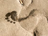 Feet - Masha A - 2011-07-14 Barefoot and happy