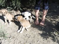 Feet - Mila + Alenka - 2005-11-27 Barefoot voyage to Feodosia