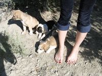 Feet - Mila + Alenka - 2005-11-27 Barefoot voyage to Feodosia