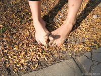 Feet - Mila + Alenka - 2005-11-27 Barefoot voyage to Feodosia