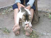 Feet - Mila + Alenka - 2005-11-27 Barefoot voyage to Feodosia