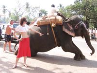 Feet - Mila + Toma - 2006-04-29 Dirty feet in Goa