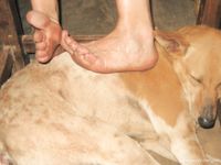 Feet - Mila + Toma - 2006-04-29 Dirty feet in Goa