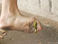 Feet - Nadya - 2007-01-20 Office barefoot lady