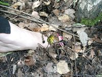 Feet - Nastya - 2003-10-15 A cemetery of used cars & deep in a wild forest with dirty soles