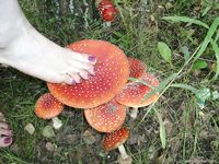 Feet - Nastya - 2003-10-15 A cemetery of used cars & deep in a wild forest with dirty soles