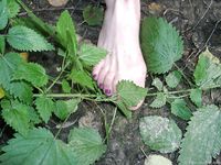 Feet - Nastya - 2003-10-15 A cemetery of used cars & deep in a wild forest with dirty soles