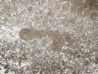 Feet - Natalia A - 2016-10-25 Barefoot on the snow