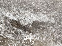 Feet - Natalia A - 2016-10-25 Barefoot on the snow