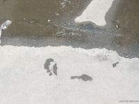 Feet - Natasha - 2003-10-02 Forest session