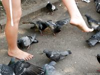 Feet - Natasha C - 2010-09-01 Barefoot beauty