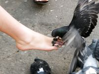 Feet - Natasha C - 2010-09-01 Barefoot beauty