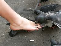 Feet - Natasha C - 2010-09-01 Barefoot beauty