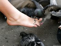 Feet - Natasha C - 2010-09-01 Barefoot beauty