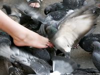 Feet - Natasha C - 2010-09-01 Barefoot beauty