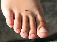 Feet - Natasha C - 2010-09-01 Barefoot beauty