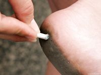 Feet - Natasha C - 2010-09-01 Barefoot beauty