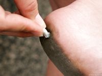 Feet - Natasha C - 2010-09-01 Barefoot beauty