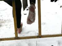 Feet - Natasha D - 2011-03-27 December barefoot challenge