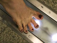 Feet - Natasha F - 2011-10-05 Barefoot in October