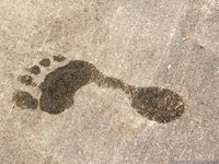 Feet - Natasha G - 2012-11-18 Barefoot in cold weather