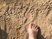 Feet - Nina - 2006-12-27 Red-haired barefoot girl