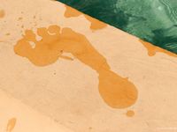 Feet - Nina - 2008-09-21 Barefoot horse riding