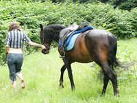 Feet - Nina - 2008-09-21 Barefoot horse riding