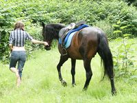 Feet - Nina - 2008-09-21 Barefoot horse riding