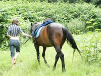 Feet - Nina - 2008-09-21 Barefoot horse riding