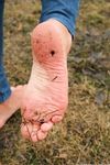 Feet - Nina D - 2017-04-19 Bare feet in the cold slush