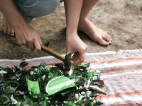 Feet - Oksana + Jenya + Anna Taradanova - 2006-12-03 Sharp exam for bare feet