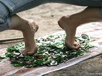 Feet - Oksana + Jenya + Anna Taradanova - 2006-12-03 Sharp exam for bare feet