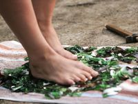 Feet - Oksana + Jenya + Anna Taradanova - 2006-12-03 Sharp exam for bare feet