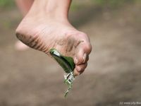Feet - Oksana + Jenya + Anna Taradanova - 2006-12-03 Sharp exam for bare feet