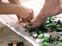 Feet - Oksana + Jenya + Anna Taradanova - 2006-12-03 Sharp exam for bare feet