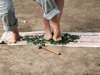 Feet - Oksana + Jenya + Anna Taradanova - 2006-12-03 Sharp exam for bare feet