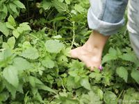 Feet - Oksana + Jenya + Anna Taradanova - 2006-12-03 Sharp exam for bare feet