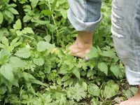 Feet - Oksana + Jenya + Anna Taradanova - 2006-12-03 Sharp exam for bare feet