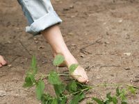Feet - Oksana + Jenya + Anna Taradanova - 2006-12-03 Sharp exam for bare feet