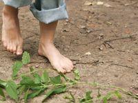 Feet - Oksana + Jenya + Anna Taradanova - 2006-12-03 Sharp exam for bare feet