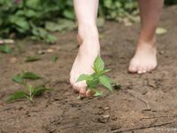 Feet - Oksana + Jenya + Anna Taradanova - 2006-12-03 Sharp exam for bare feet